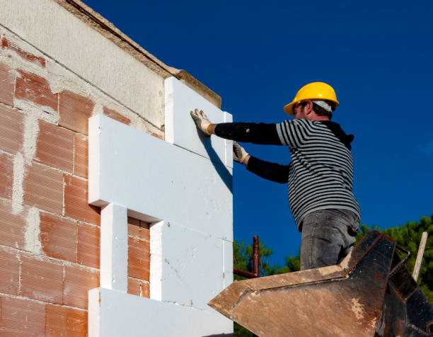 Best Insulation Replacement Services  in Hooper, NE