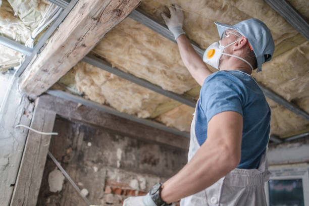 Best Residential Insulation Services  in Hooper, NE