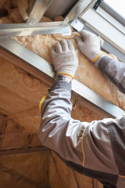 Best Cellulose Insulation  in Hooper, NE