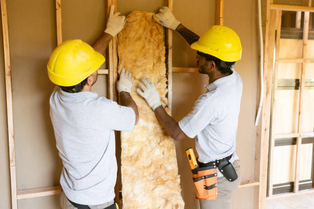 Best Garage Insulation Installation  in Hooper, NE