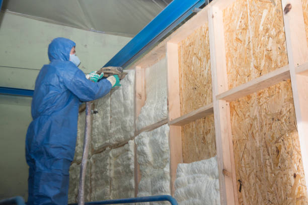 Best Wall Insulation Contractor  in Hooper, NE